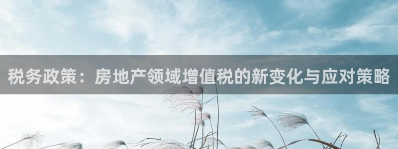 成都和记公司官网：税务政策：房地产领域增值税的新变化与应对策