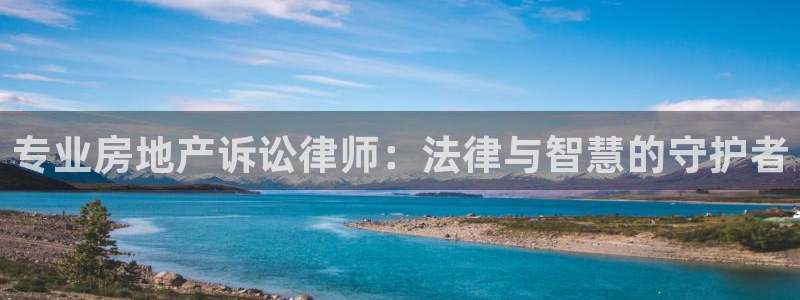 和兴记官网：专业房地产诉讼律师：法律与智慧的守护者