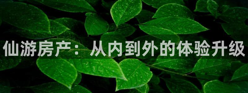 和记集团官网：仙游房产：从内到外的体验升级