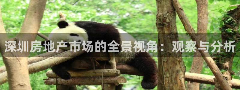 和记黄埔官网攻略：深圳房地产市场的全景视角：观察与分析