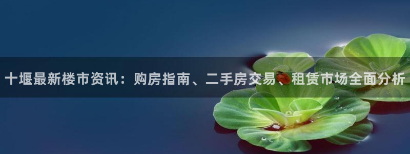 和记一品官网：十堰最新楼市资讯：购房指南、二手房交易、租赁市
