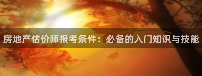 和记官网备用客户端：房地产估价师报考条件：必备的入门知识与技