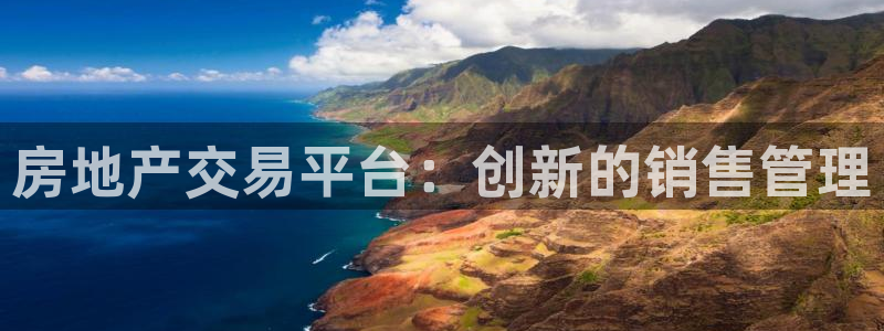 武汉和记黄埔官网：房地产交易平台：创新的销售管理
