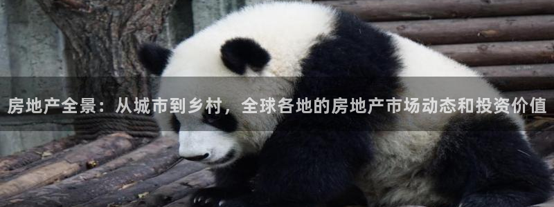 和记集团官网：房地产全景：从城市到乡村，全球各地的房地产市场