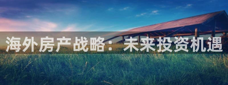 和记国际有限公司官网：海外房产战略：未来投资机遇