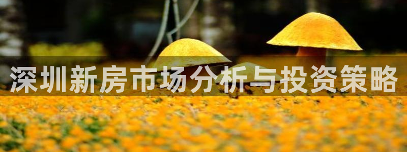 和记娱解答h88285官网：深圳新房市场分析与投资策略