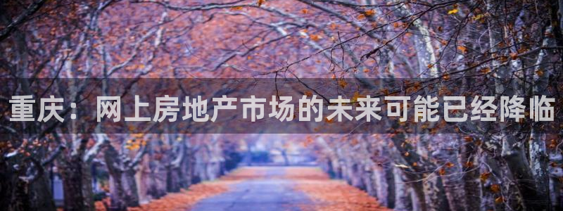 和记官网客服app