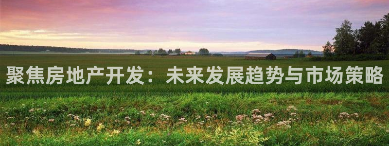 3和记电讯官网：聚焦房地产开发：未来发展趋势与市场策略