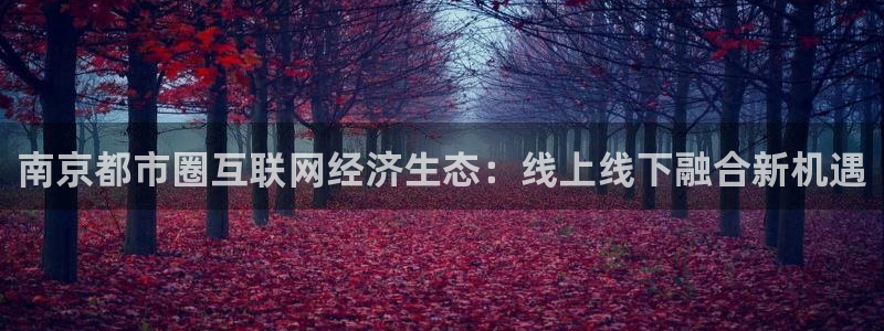 和记娱乐怡情官网：南京都市圈互联网经济生态：线上线下融合新机