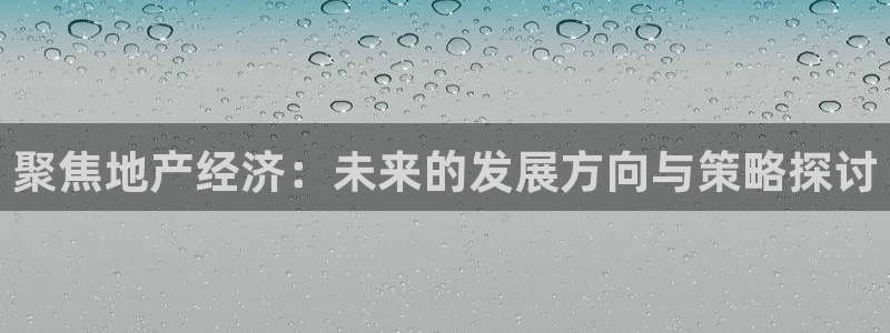 和记港口官网：聚焦地产经济：未来的发展方向与策略探讨