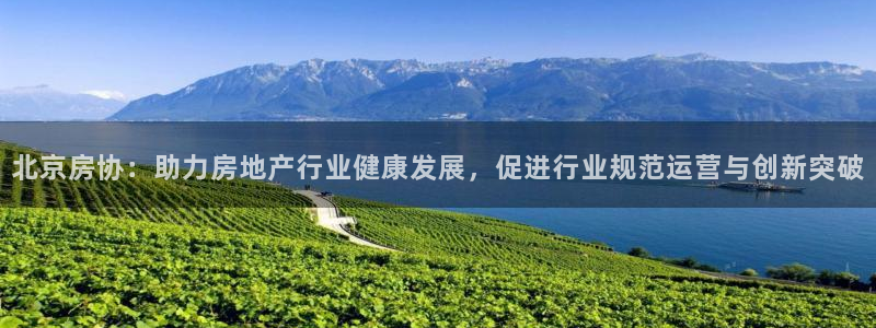 缅甸和记平台官网：北京房协：助力房地产行业健康发展，促进行业