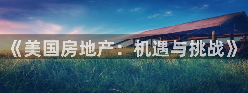 和记3官网：《美国房地产：机遇与挑战》