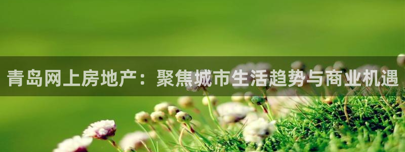 香港3和记官网：青岛网上房地产：聚焦城市生活趋势与商业机遇