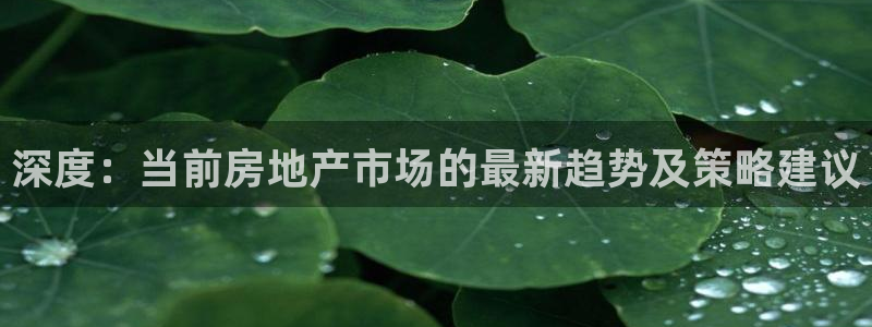 和记官网平台：深度：当前房地产市场的最新趋势及策略建议