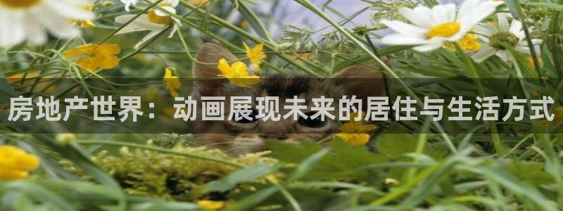 3和记电讯官网：房地产世界：动画展现未来的居住与生活方式