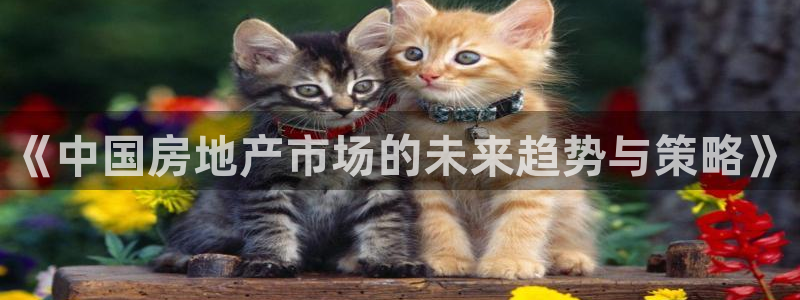 和兴记官网：《中国房地产市场的未来趋势与策略》