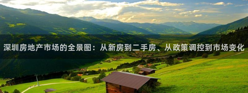 和记娱乐场所官网：深圳房地产市场的全景图：从新房到二手房、从