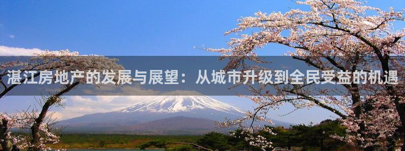 和记国际官网：湛江房地产的发展与展望：从城市升级到全民受益的