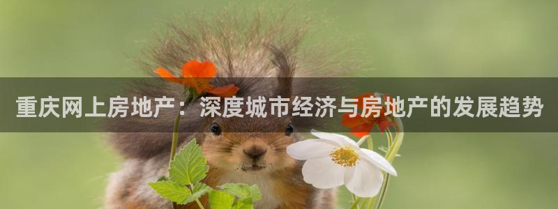 长江和记有限公司官网：重庆网上房地产：深度城市经济与房地产的