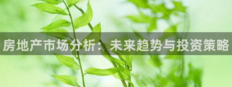 和记电讯澳门官网：房地产市场分析：未来趋势与投资策略