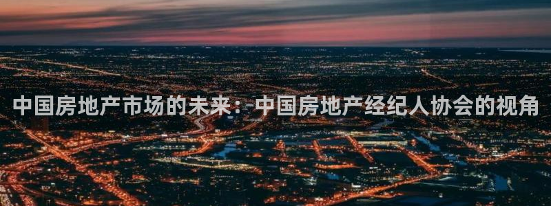 和记官网手机版下载：中国房地产市场的未来：中国房地产经纪人协