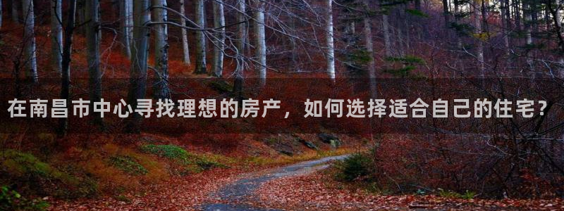 和记3hk官网：在南昌市中心寻找理想的房产，如何选择适合自己