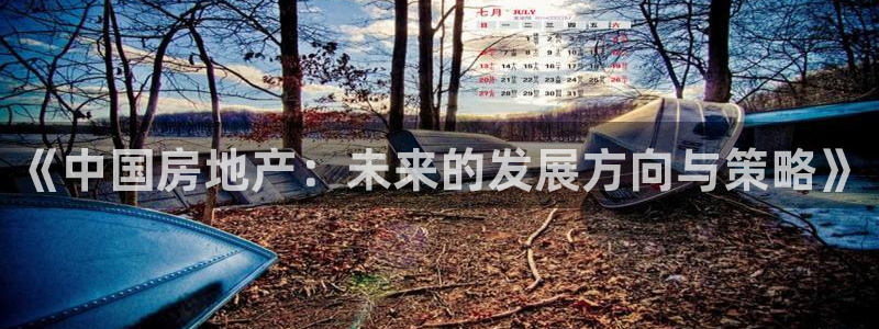 和记官网手机版：《中国房地产：未来的发展方向与策略》