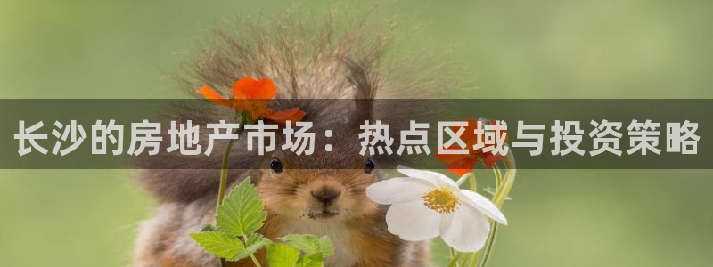 和记电信官网：长沙的房地产市场：热点区域与投资策略