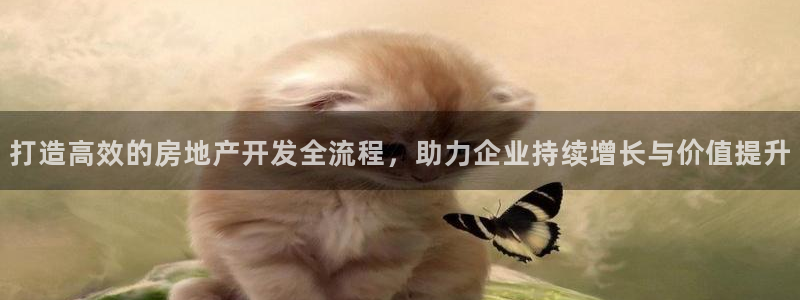 澳门和记电信官网：打造高效的房地产开发全流程，助力企业持续增