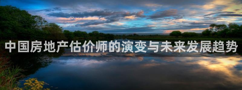 和记黄埔 成都 官网：中国房地产估价师的演变与未来发展趋势