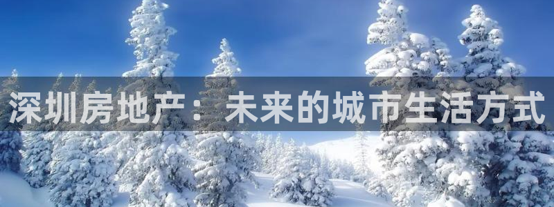和元李记官网：深圳房地产：未来的城市生活方式