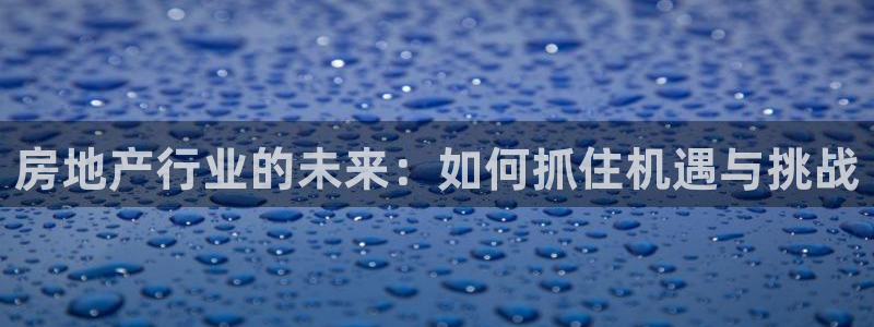 香港和记3hk官网：房地产行业的未来：如何抓住机遇与挑战