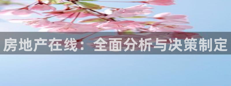 和记官网app是谁的：房地产在线：全面分析与决策制定
