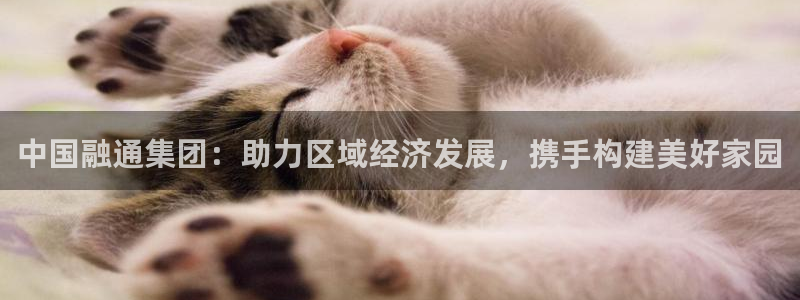 和记中国官网：中国融通集团：助力区域经济发展，携手构建美好家