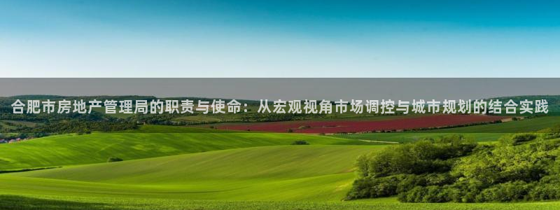 和记火爆官网：合肥市房地产管理局的职责与使命：从宏观视角市场