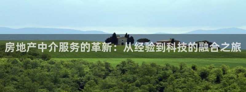和记娱乐首页官网：房地产中介服务的革新：从经验到科技的融合之