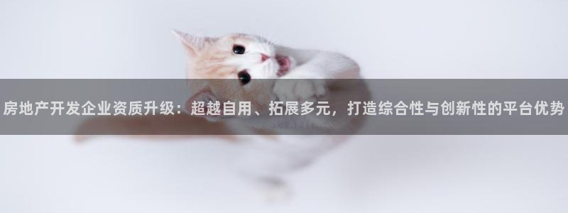 和记怡情博物官网：房地产开发企业资质升级：超越自用、拓展多元