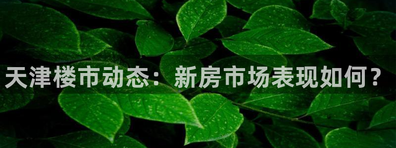 和记怡情博物官网：天津楼市动态：新房市场表现如何？
