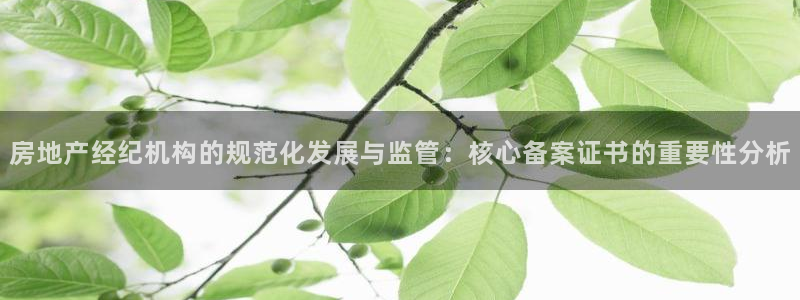 和记澳门官网：房地产经纪机构的规范化发展与监管：核心备案证书