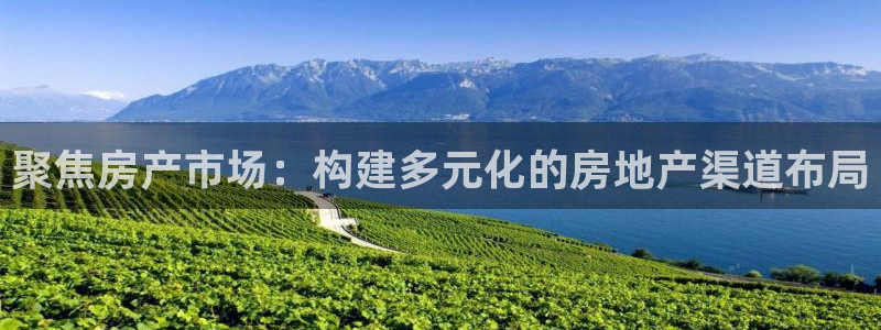 和记官网注册：聚焦房产市场：构建多元化的房地产渠道布局