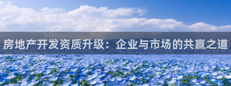 和记娱真好h88285官网：房地产开发资质升级：企业与市场的