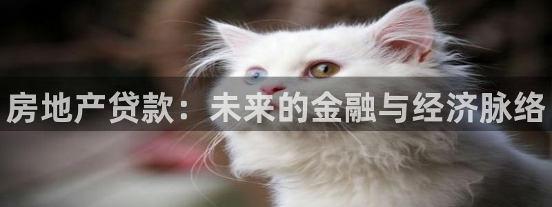 香港长江和记官网：房地产贷款：未来的金融与经济脉络