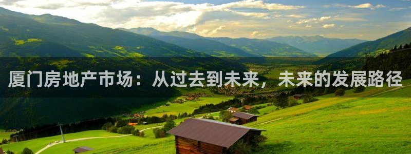 和记怡情博物官网：厦门房地产市场：从过去到未来，未来的发展路