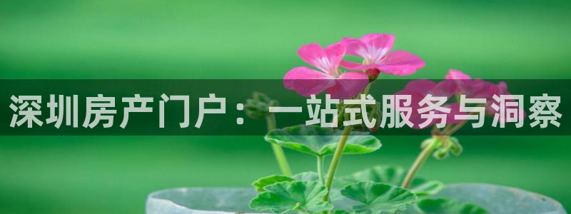 和记增值官网：深圳房产门户：一站式服务与洞察