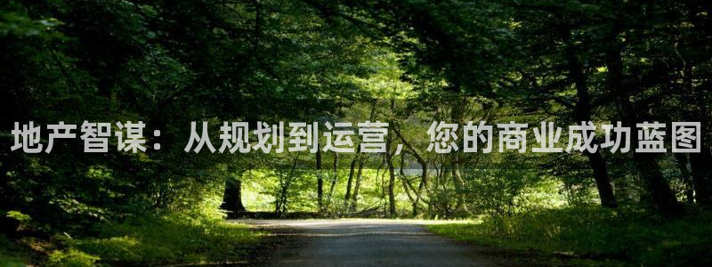 和记官网ap：地产智谋：从规划到运营，您的商业成功蓝图