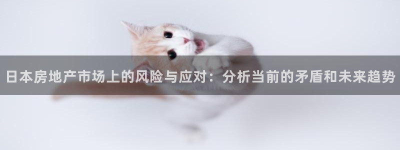 和记娱乐网官网：日本房地产市场上的风险与应对：分析当前的矛盾