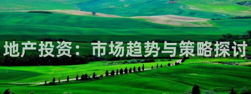 香港和记黄埔官网：地产投资：市场趋势与策略探讨