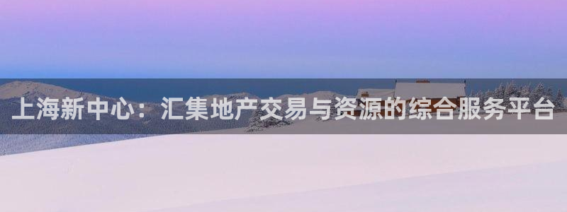 和生记官网：上海新中心：汇集地产交易与资源的综合服务平台