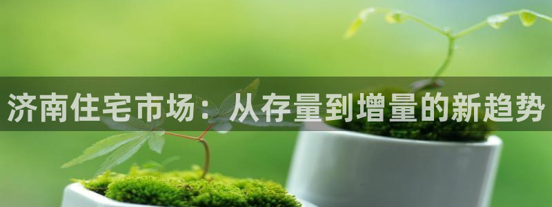 和记一品官网：济南住宅市场：从存量到增量的新趋势