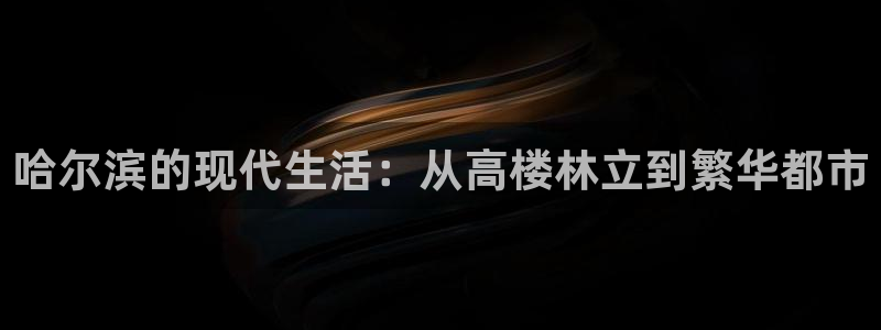和记黄埔武汉官网：哈尔滨的现代生活：从高楼林立到繁华都市